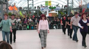 Fireboots-Haus-Garten-Freizeit-Messe 2010 048